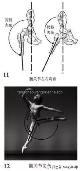 沙漏腰3.0进阶：30分钟站立无跑跳核心训练深度剖析